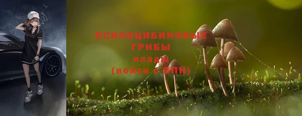 амф Баксан